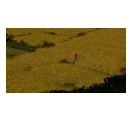 Memories Of A Distant Past 5 - limited series- photography