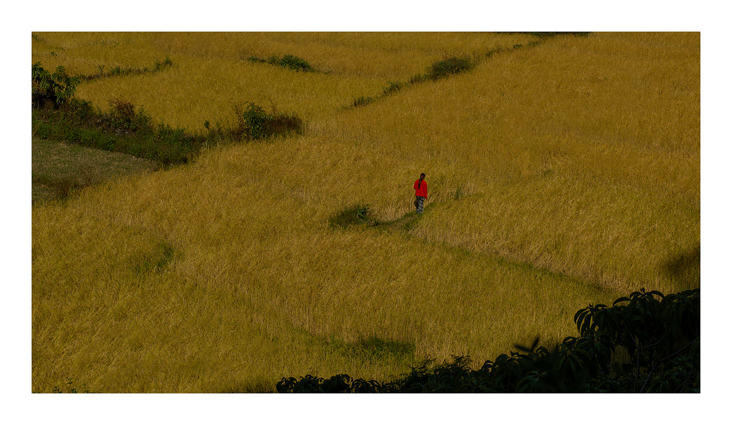 Memories Of A Distant Past 5 - limited series- photography