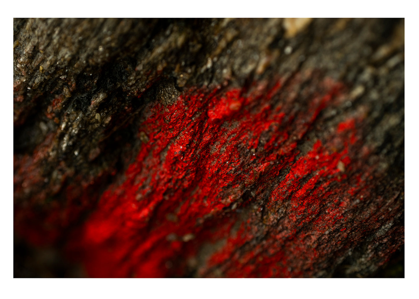 Marked Rock - limited Red Series - photography